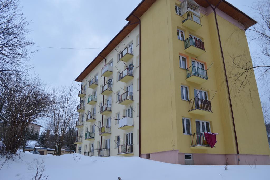 Apartament Ustrzyki Ustrzyki Dolne Eksteriør billede